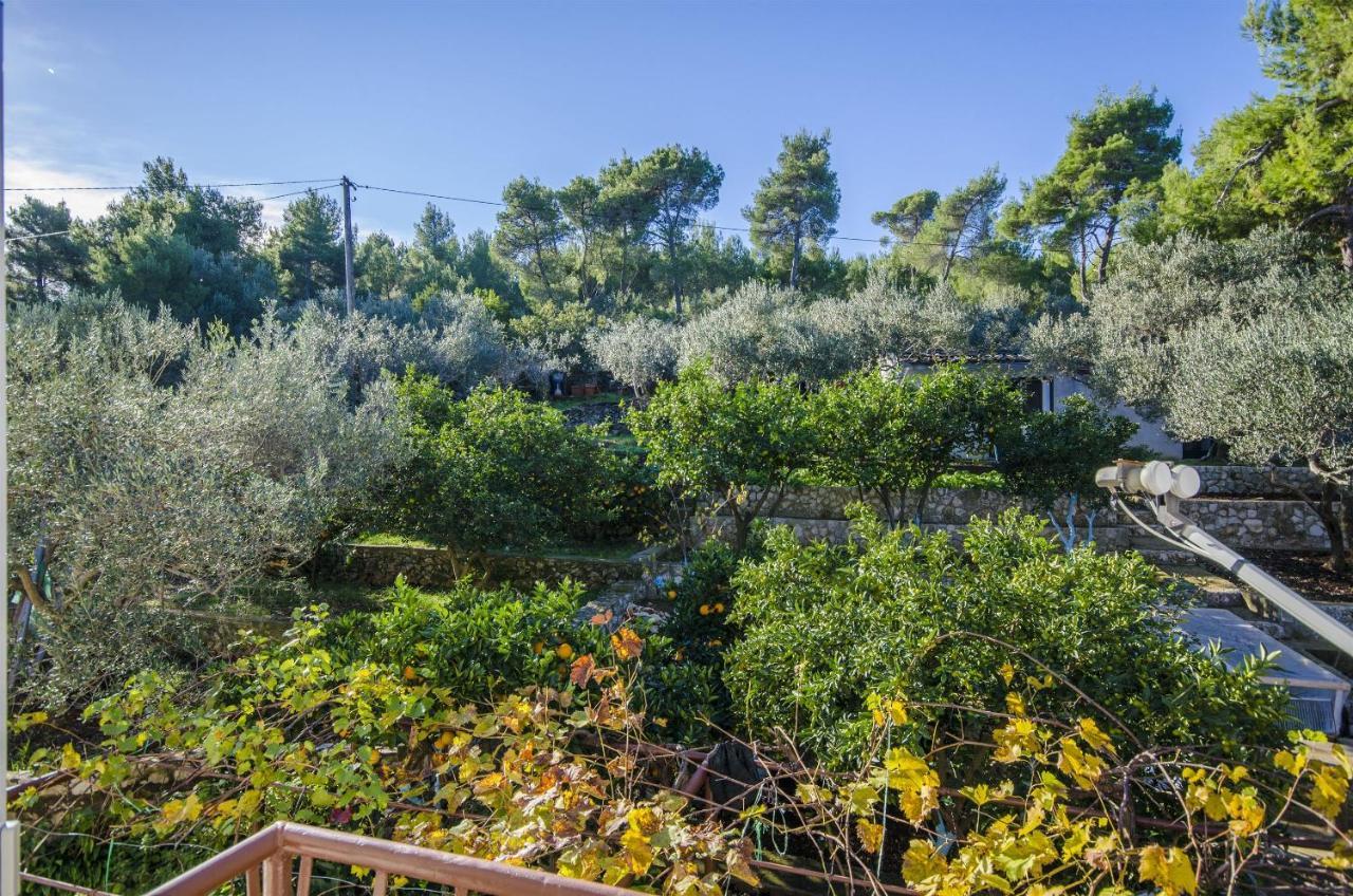 Apartments Dragica Slatine Zewnętrze zdjęcie
